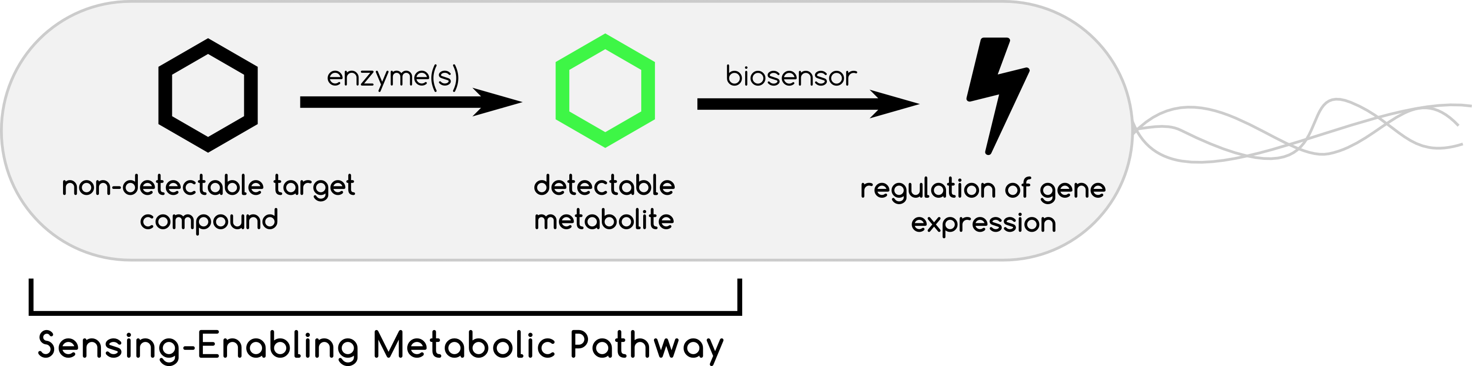 Sensing-Enabling Metabolic Pathway concept scheme.